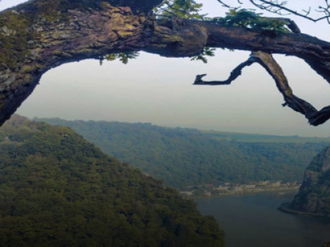 Porsche 24 години тиші