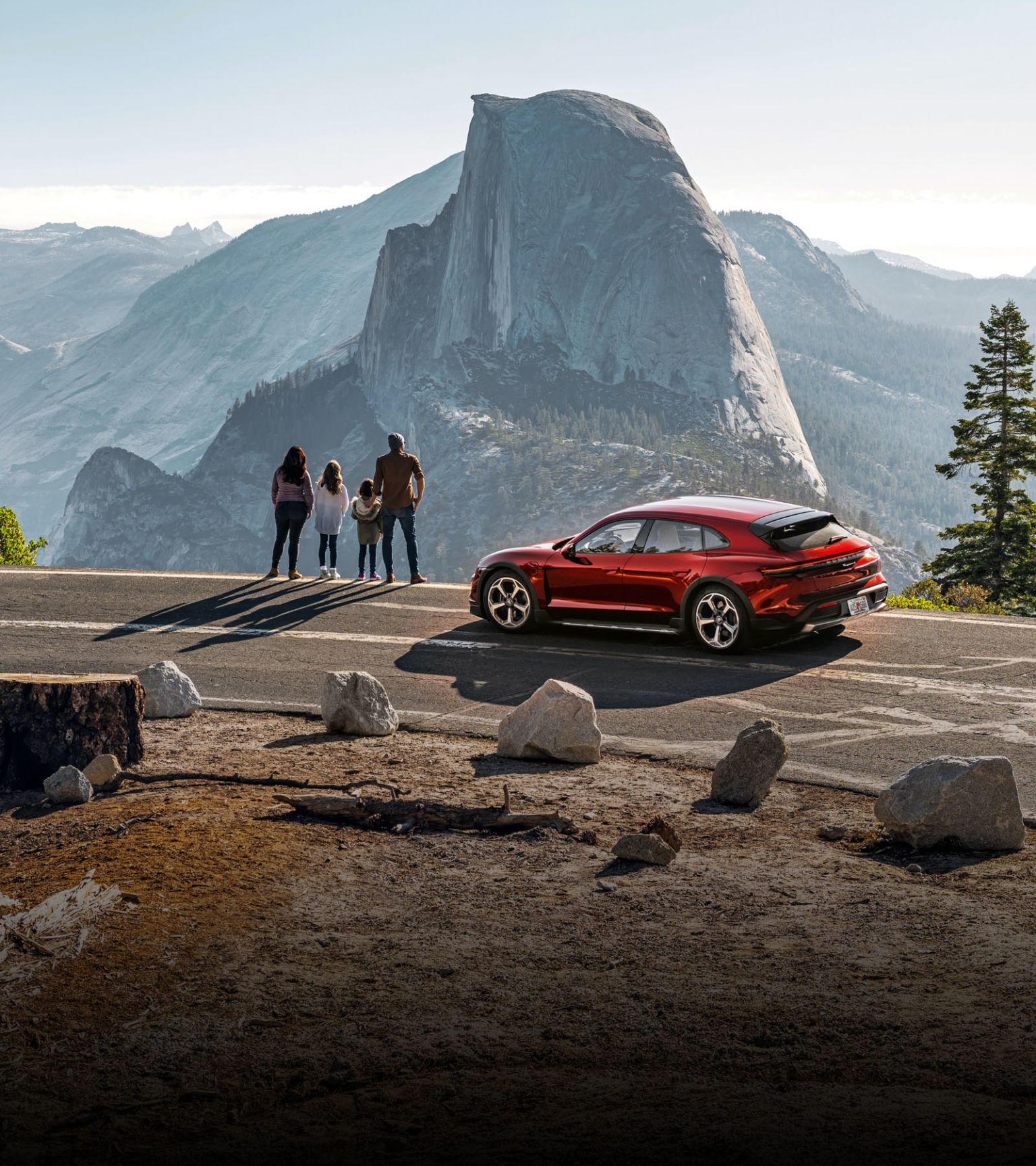 Принцеси, дерев'яне ведмежа й подорож до дерев-велетнів 